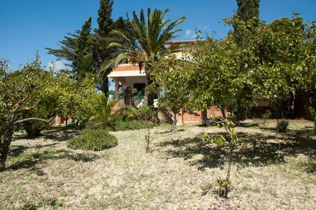 Casa Vacanze Palma レアルモンテ エクステリア 写真